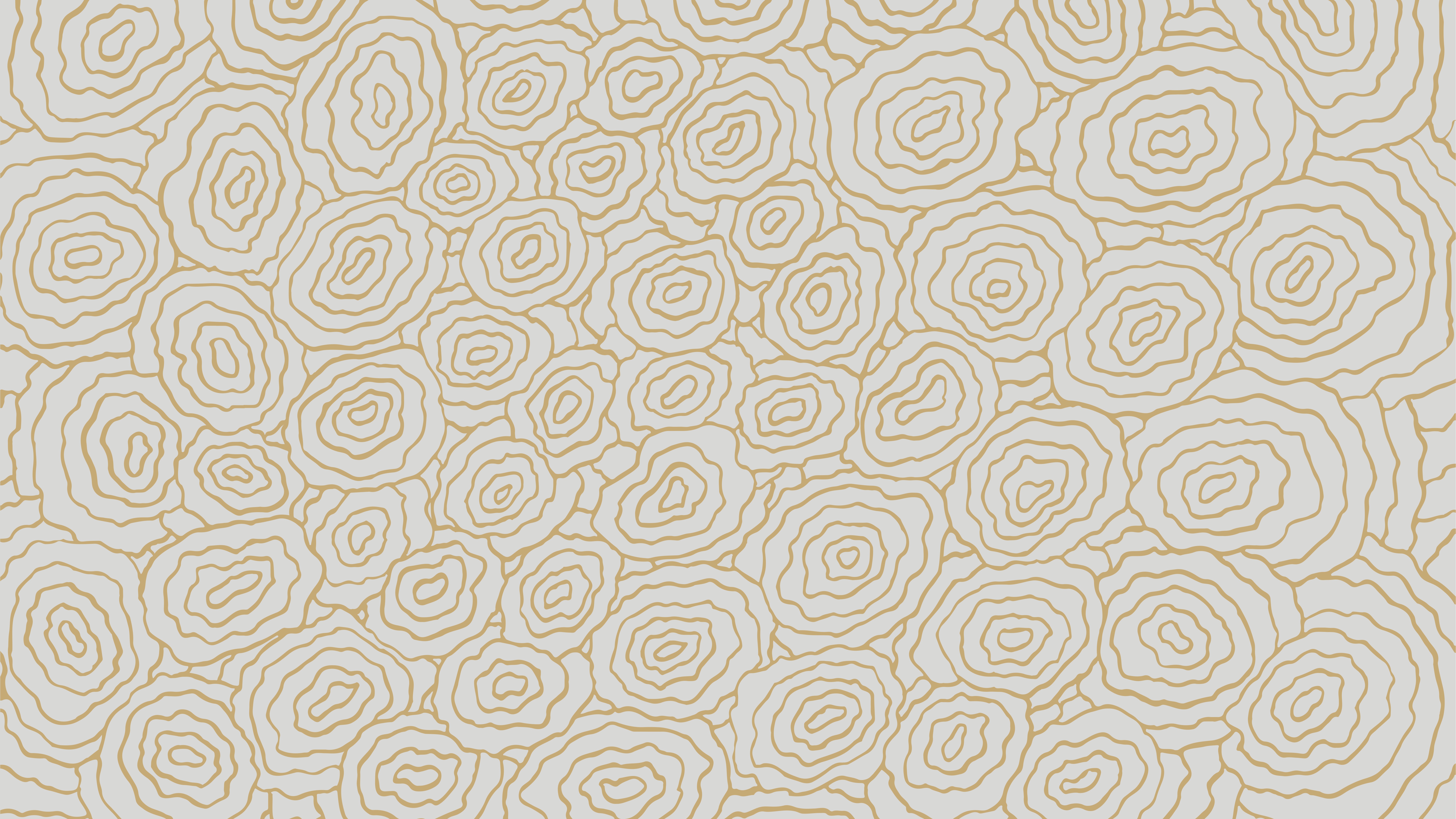 هوية بصرية — مورسل — 10